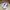 Adidas Casual Sneakers Pria multicolor white photo 2