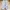 Adidas Casual Sneakers Pria multicolor white photo 5
