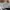 Adidas Casual Sneakers Pria multicolor white photo 6