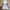 Adidas Casual Sneakers Pria multicolor white photo 3
