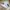Puma Casual Sneakers Pria white photo 1