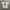 Adidas Vintage Casual Jersey Pria white photo 3