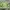 Stone Island Casual Sweater Pria green photo 1