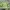 Stone Island Casual Sweater Pria Green