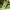 Stone Island Casual Sweater Pria green photo 4