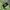 Stone Island Casual Sweater Pria green photo 2