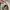 Nike Streetwear Sportswear Sneakers Pria multicolor photo 2