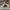 Streetwear Sneakers Pria white photo 3