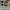 Streetwear Skater Sneakers Pria black photo 5