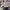 Streetwear Sportswear Sneakers Pria gray photo 7