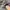 Streetwear Sportswear Sneakers Pria gray photo 6