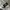 Stone Island Casual Sweater Pria silver photo 2