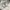 Vintage Y2K T-shirt Pria white photo 5