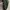 Alpha Industries Casual Bag Pria green photo 3