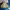 Converse Streetwear Sneakers Pria yellow photo 5