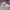 Streetwear Sportswear Sneakers Pria white photo 3