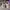 Streetwear Sportswear Sneakers Pria white photo 4