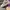 Streetwear Sportswear Sneakers Pria white photo 6