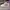 Streetwear Sportswear Sneakers Pria white photo 1