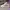 Streetwear Sportswear Sneakers Pria White