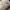 Streetwear Sportswear Sneakers Pria white photo 8
