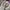 Streetwear Sportswear Sneakers Pria white photo 7