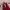 Adidas Vintage Sportswear Jersey Pria red photo 3