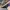 Streetwear Sportswear Sneakers Pria brown photo 6