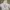 Streetwear Casual Windbreaker Pria white photo 1