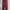 Dickies Skater Minimalist Casual pants Pria red photo 1