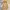 Avant Garde Skirt Wanita tan photo 1