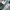 Marni Streetwear Y2K Shirt dress Wanita multicolor photo 2