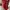 Nike Sportswear Sneakers Pria white red photo 2
