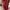 Nike Sportswear Sneakers Pria White Red