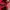 Nike Sportswear Sneakers Pria white red photo 3