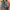 Nike Casual Sneakers Kids white orange blue photo 6