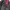Grunge Biker Leather jacket Pria black photo 3