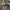 Realtree Streetwear Y2K Tracksuit Pria tan photo 2
