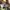 Adidas Indie Casual Sneakers Pria blue yellow photo 5