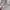 Columbia Gorpcore Casual Sweater Pria khaki photo 5