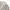 Grunge Emo Polo shirt Pria white photo 3