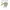 ZARA Minimalist Cardigan Wanita cream photo 1