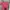 Uniqlo Streetwear Y2K T-shirt Pria Pink