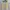 Y2K Casual Crop top Wanita white yellow photo 1