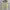 Y2K Casual Crop Top Wanita White Yellow