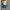 Y2K Casual Crop top Wanita white yellow photo 2