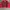 Baracuta Vintage Casual Parka Pria red photo 6