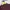 Polham Casual Polo shirt Pria burgundy photo 3