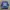 Fruit of the Loom Grunge Avant Garde Sweatshirt Pria blue photo 1