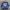 Fruit Of The Loom Grunge Avant Garde Sweatshirt Pria Blue